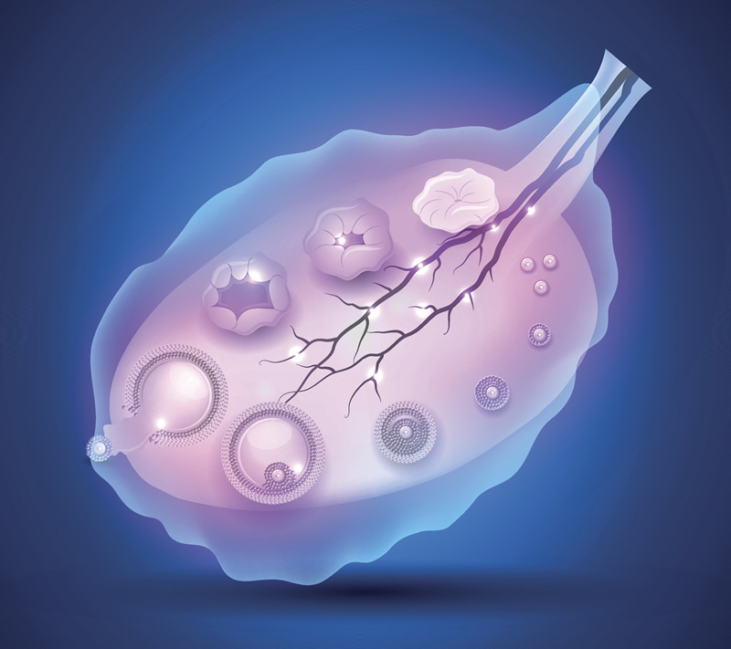 天津心脏病患者试管婴儿医院选择指南：泰达心血管病医院等专业机构解析，附本地高生殖中心对比